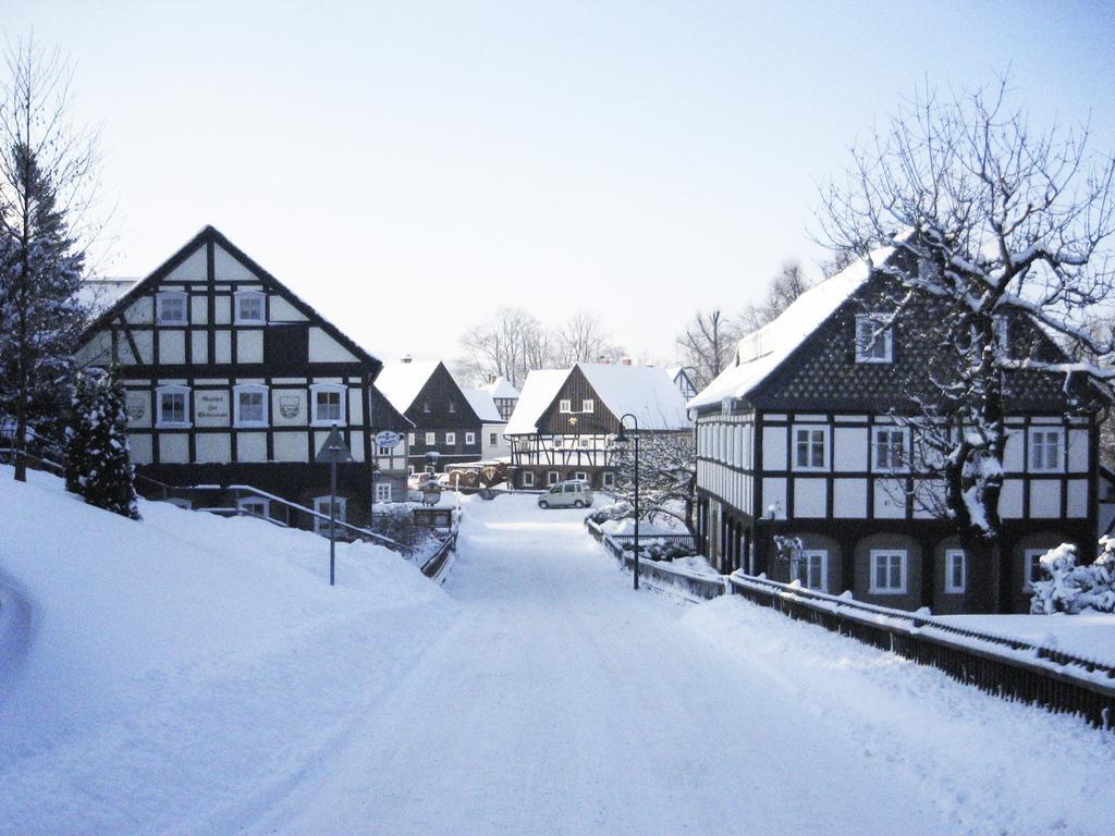 Goldberghaus Apartment Grossschoenau Exterior photo